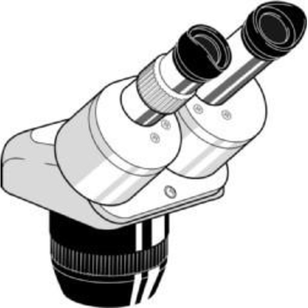 Euromex Testa stereo EE.1523, binoculare