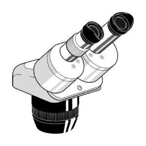 Euromex Testa stereo EE.1522, binoculare