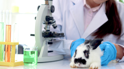 Medicina veterinaria