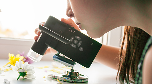 Scuola dell'infanzia