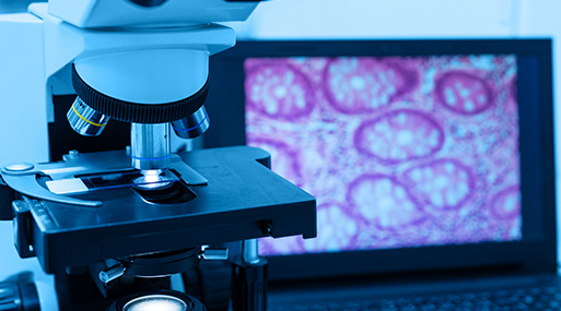 Citologia e patologia