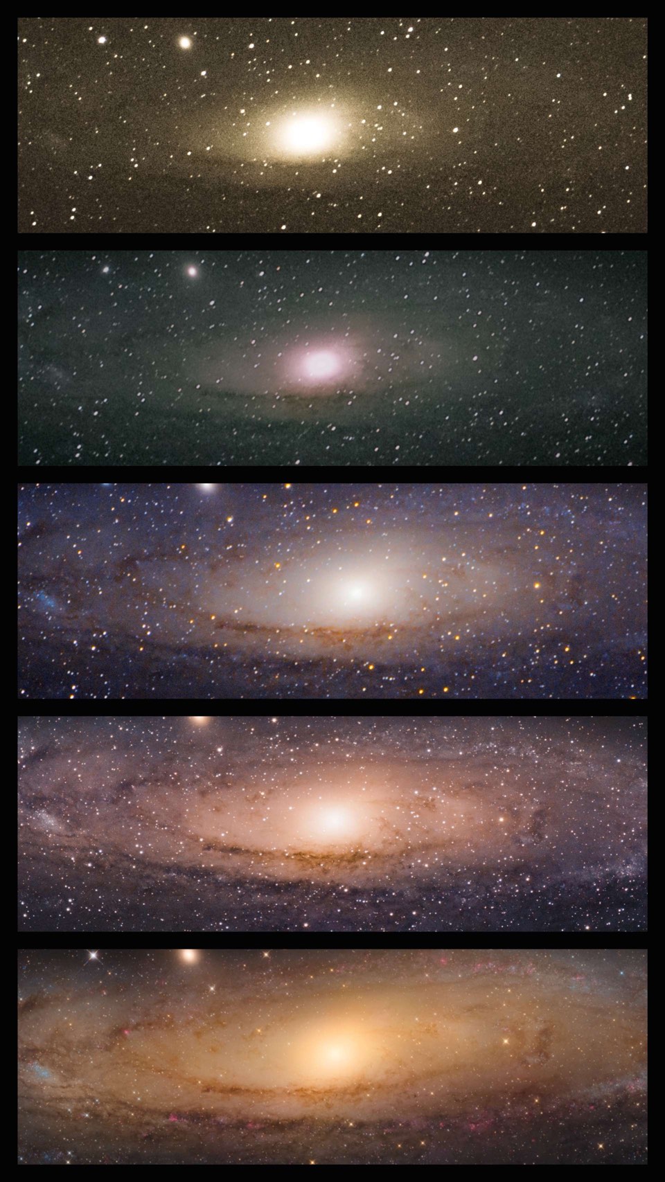 La galassia di Andromeda M31, fotografata da Sophie Paulin. 2 volte senza inseguimento con un teleobiettivo da 200 mm, 1 volta con montatura fotografica e teleobiettivo da 200 mm con teleconverter, 1 volta con montatura fotografica e teleobiettivo da 600 mm, 1 volta con un telescopio Newton 8" f/4,5