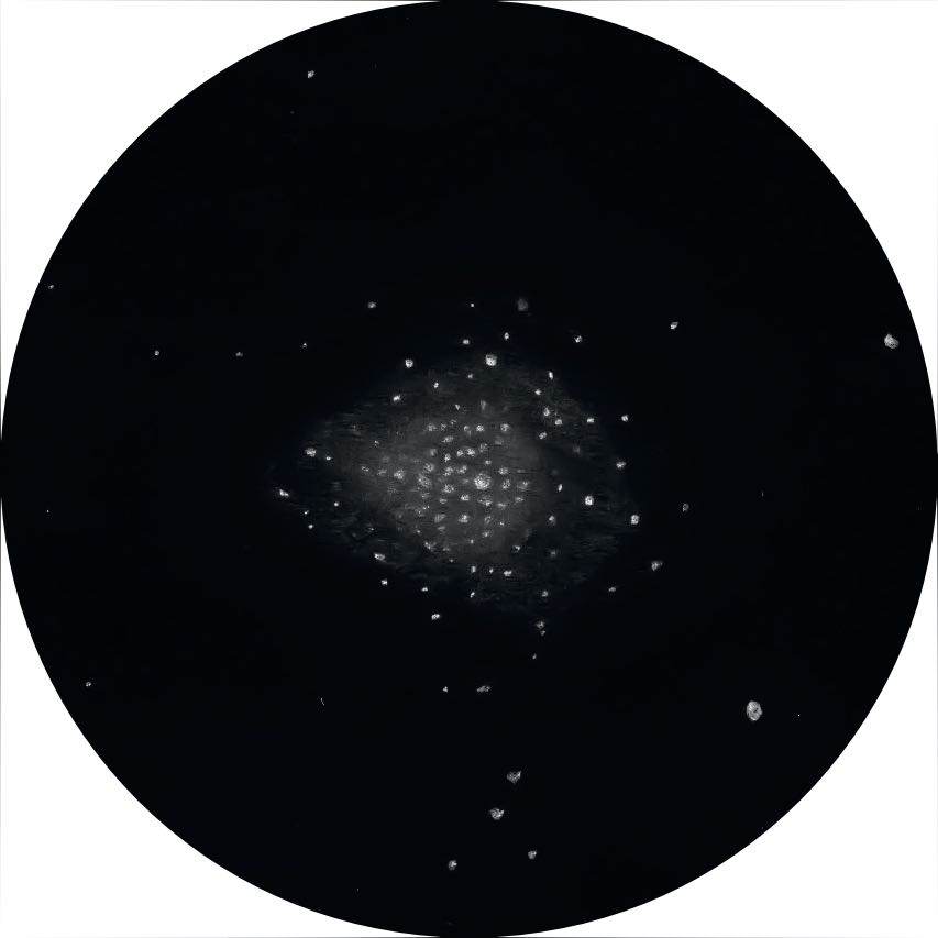 Immagine di Messier 71 con un Newton da 14 pollici e ingrandimento 114×. Oliver Stein