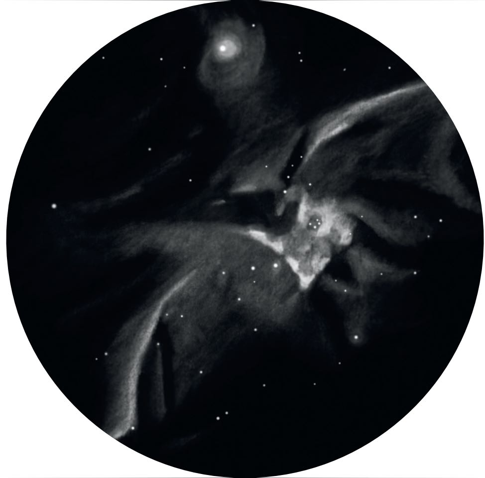 Illustrazione di M 42.
Rainer Mannoff