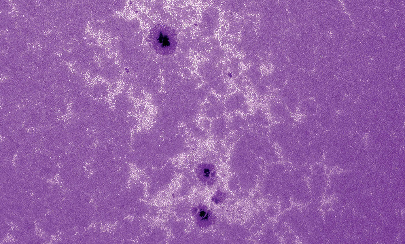 Immagine del Sole in luce CaK. Modulo CaK di Lunt (b600) su un rifrattore con lunghezza focale 2250 mm, apertura 130 mm, camera CCD non raffreddata; 500 immagini estratte da una sequenza di 2500 elaborate con Avistack e Photoshop. U. Dittler