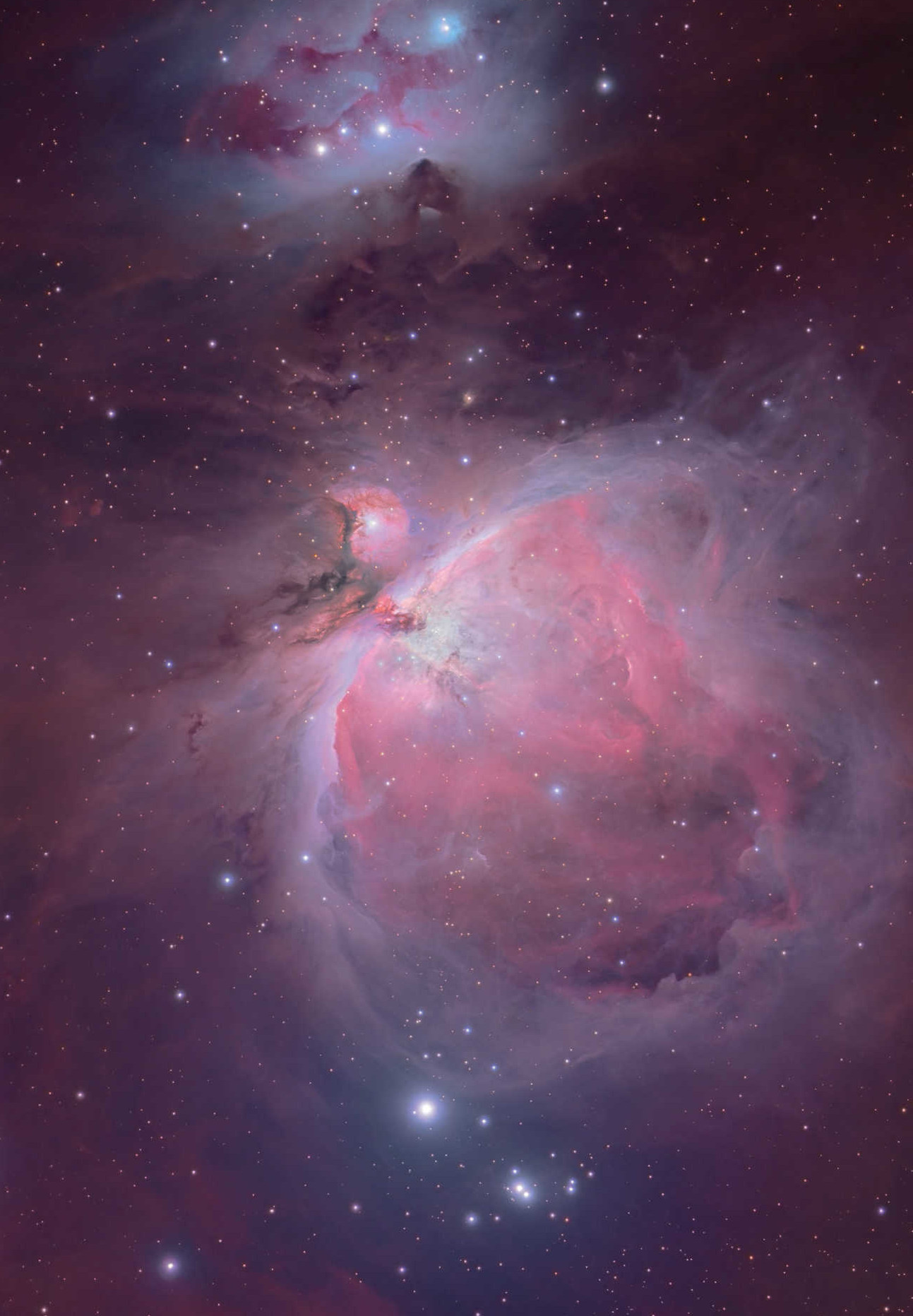 I fantastici mondi della nebulosa di Orione sorprendono molti astronomi amatoriali. Mario Weigand