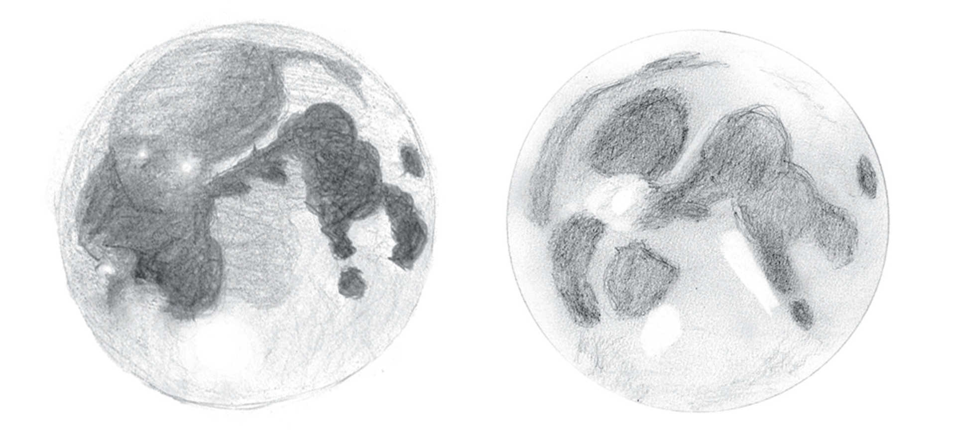 Due illustrazioni della Luna piena osservata a occhio nudo. Il sistema a raggiera di Tycho è riconoscibile come una macchia chiara. Si possono distinguere anche Copernico e Keplero. Lambert Spix, Kay Hempel