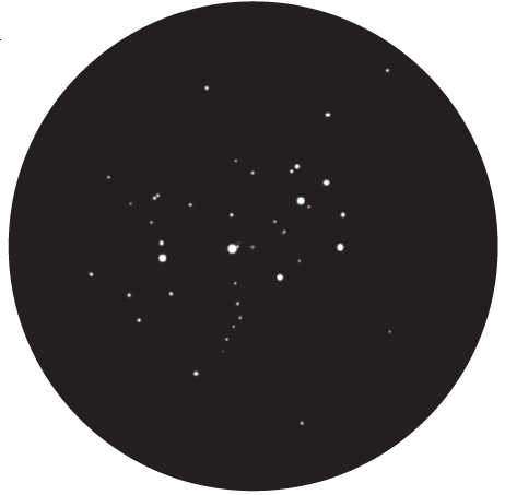 Immagine delle Pleiadi M45 in un telescopio con apertura 60 mm e ingrandimento 20x. L. Spix