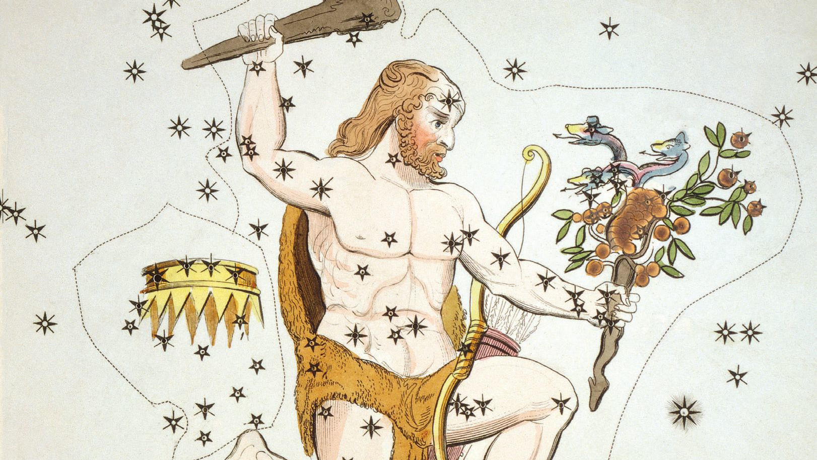 Nell’iconografia classica Ercole viene rappresentato con una clava in mano, la pelliccia del leone e le mele d’oro rubate. 