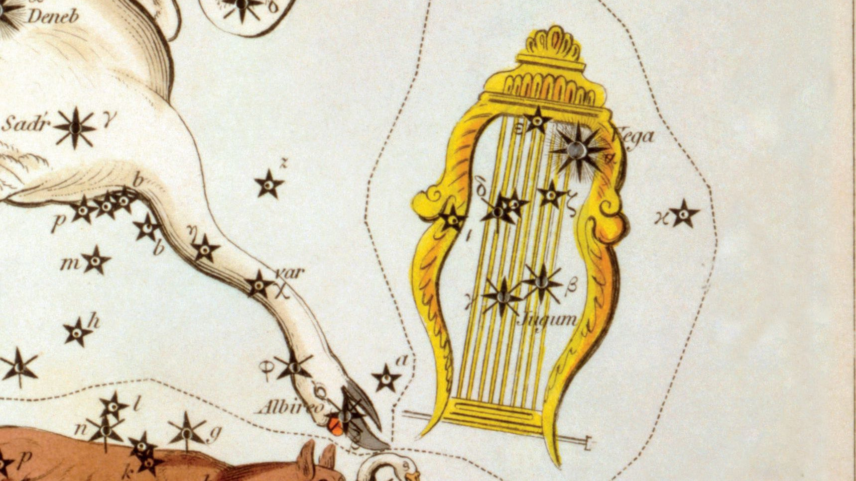 Un’antica rappresentazione della costellazione della Lira con la sua stella principale Vega, uno dei vertici del Triangolo estivo.
