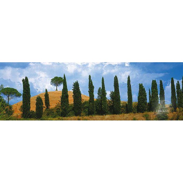 Palazzi Verlag Poster Val Dórica, Toscana, stampa su telo