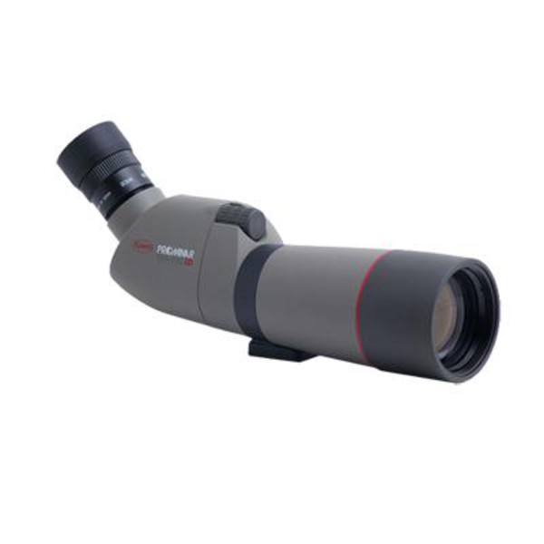 Kowa Cannocchiali TSN-663 Prominar 66mm, visione diagonale