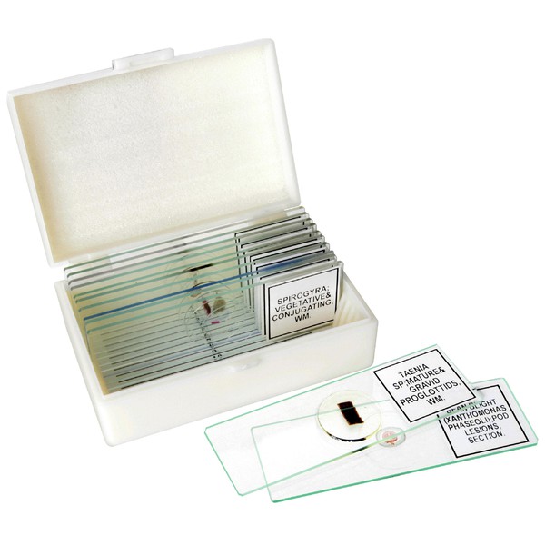 Bresser Set con 12 differenti preparati permanenti