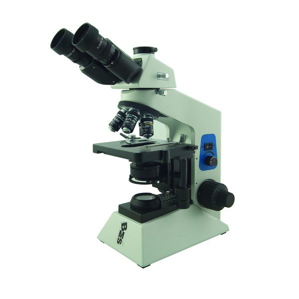 Windaus HPM D1a microscopio trinoculare, 600x