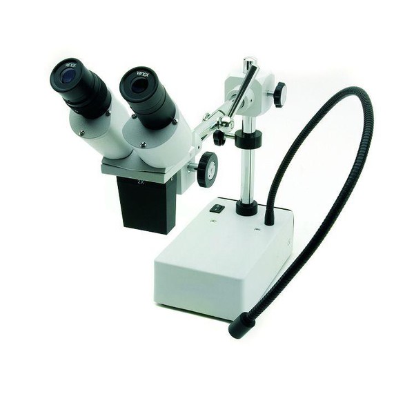 Windaus Lente d`ingrandimento stereo (Duale) HPS 50 microscopio con illuminazione LED a collo d'oca