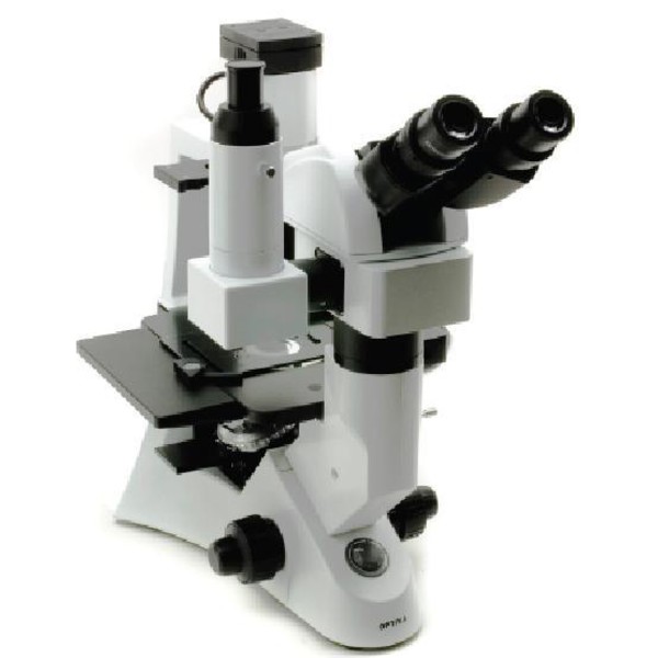 Optika XDS-2 ERGO, microscopio invertito, trinoculaire, con testa ergonomica, IOS, LWD, X-LED