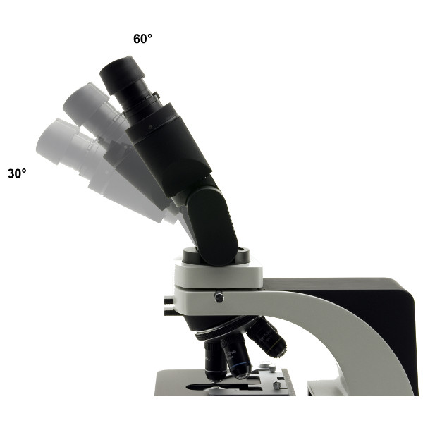 Optika Microscopio binoculare, testa ERGO, obiettivo piano parallelo B-500 ERGO