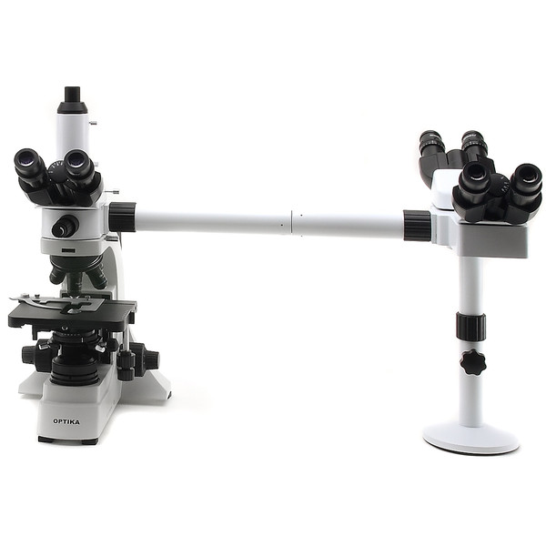 Optika Microscopio B-500Ti-3, Testa multipla, 3 teste, 1000x, LED