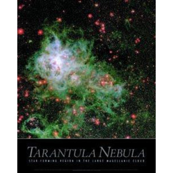 Poster La nebulosa Tarantola