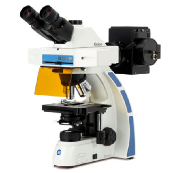Euromex Microscopio OX.3085, trinoculare, Fluarex, olio