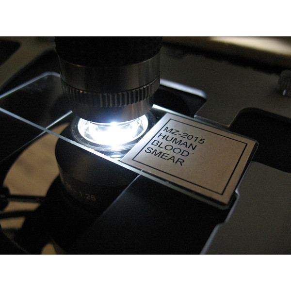 Optika Microscopio Mikroskop B-383DKIVD, trino, darkfield, N-PLAN,100x W-PLAN, 40x-1000x, IVD