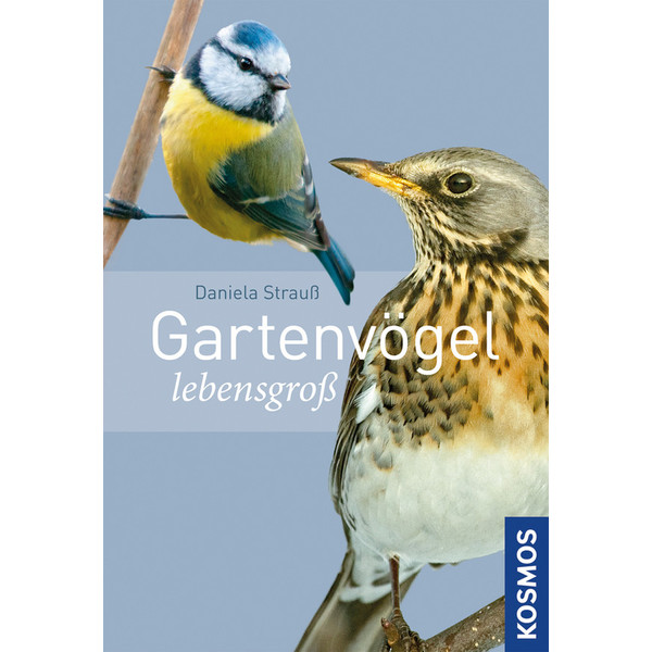 Kosmos Verlag Uccelli da giardino a grandezza naturale (in tedesco)