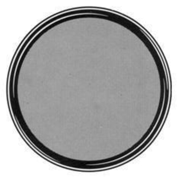 TS Optics Filtro colorato grigio 2'' 13% trasmissività