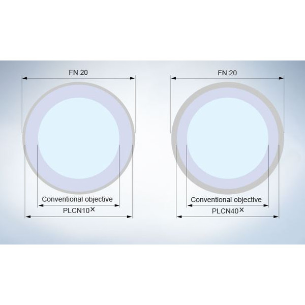 Evident Olympus Microscopio CX31 bino, Hal, 40x,100x, 400x