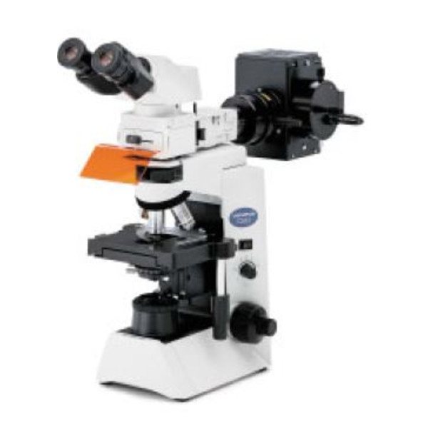 Evident Olympus Microscopio CX41 Fluorescenza, bino, ergo, alogeno, 40x, 100x, 400x