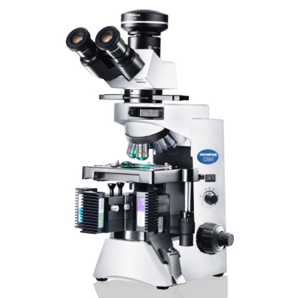 Evident Olympus Microscopio CX41 Fluorescenza, trino, alogeno, 40x, 100x, 400x
