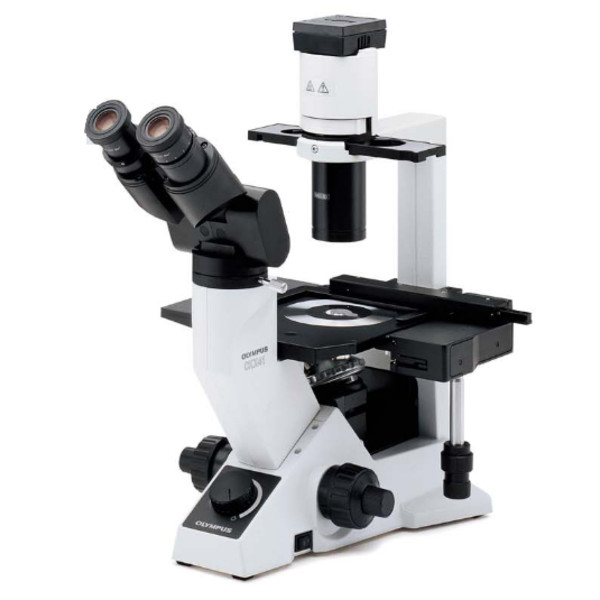 Olympus Microscopio CKX41, bino, ergo, Hal, 40x, 100x, 200x, 400x