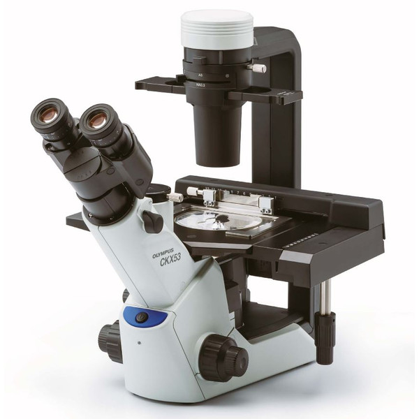 Evident Olympus Microscopio invertito CKX53, trinoculare, 100x, 200x, 400x, IPC/IVC tavolino x/y