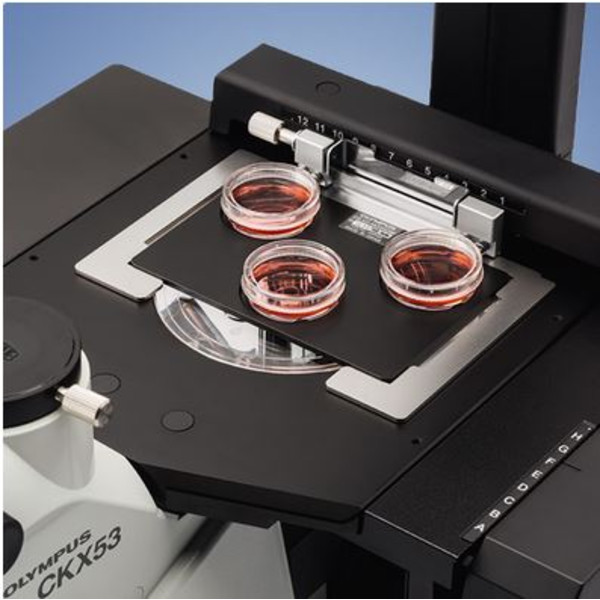 Evident Olympus Microscopio invertito Olympus CKX53 IPC/IVC V1, PH, trino, infinity, achro, 10x, 20x, 40x, LED