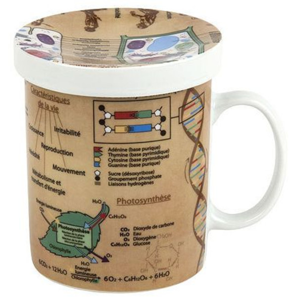 Könitz Tazza Tasses Sciences de buveur de thè Biologie