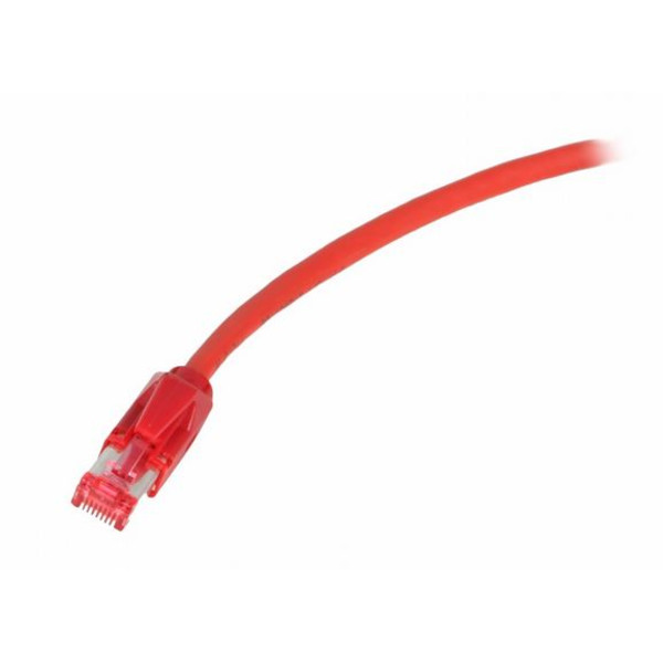 Baader Cavo di rete con conduttore CAT 7 specificato ColdTemp 3 m