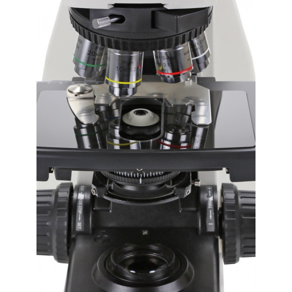 Euromex microscopio DX.1153-PLi, trino, 40x - 1000x