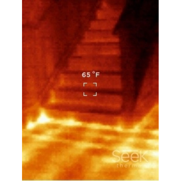 Seek Thermal Camera termica Compact Android