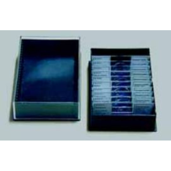 LIEDER Fanerogame, set base 25 preparati
