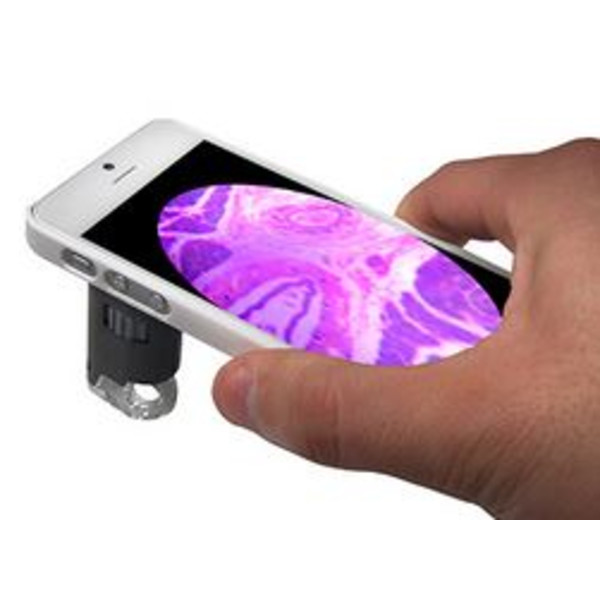 Carson MM-255, microscopio smartphone, adattatore iPhone 5