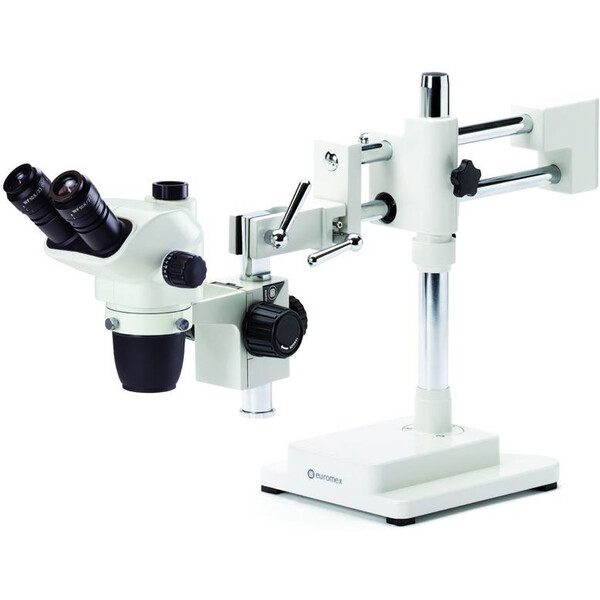 Euromex NZ.1703-B, NexiusZoom EVO, 6,5x a 55x, stativo a doppio braccio, senza illuminazione, trino