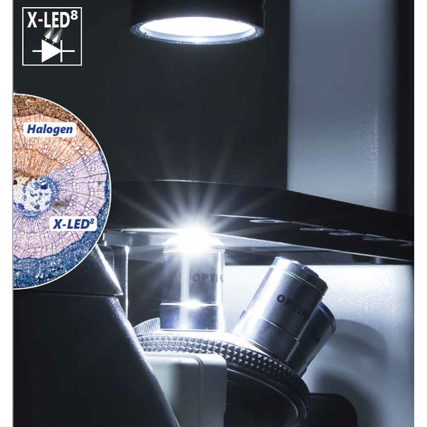 Optika Microscopio IM-3FL4-UK, trino, invertito, FL-HBO, filtro B&G, IOS LWD U-PLAN F, 100x-400x, UK