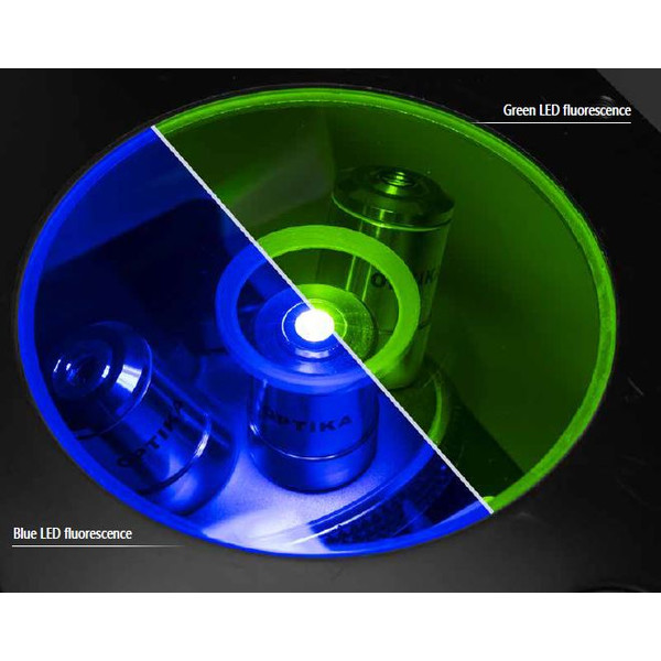 Optika Microscopio IM-3FL4-UK, trino, invertito, FL-HBO, filtro B&G, IOS LWD U-PLAN F, 100x-400x, UK