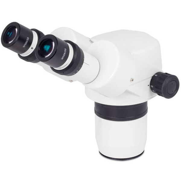 Motic Testa stereo SMZ-168, Binoculare