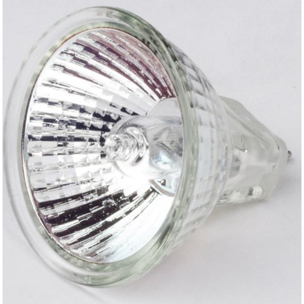 Motic ricambio lampada alogena 12V/10W per stativo R2GG (luce incidente) (SMZ-161)