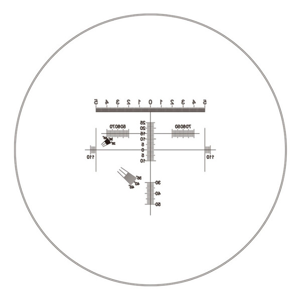 Motic oculare micrometrico WF10X/23 mm, analizzatore di proporzioni per diamanti