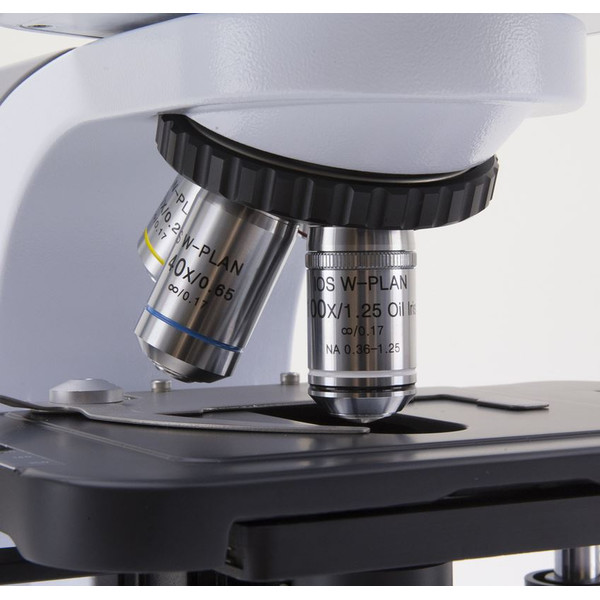 Optika Microscopio Mikroskop B-510DKIVD, trino, darkfield, W-PLAN IOS, W-PLAN, 40x-1000x, IVD