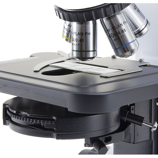 Optika Microscopio Mikroskop B-510PHIVD, trino, phase, W-PLAN, IOS, 40x-1000x, EU, IVD