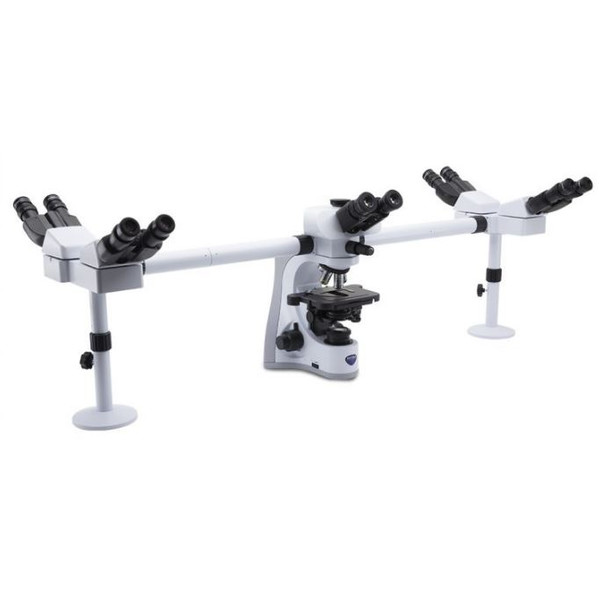 Optika Microscopio B-510-5IVD, trino, 5-head, W-PLAN IOS, 40x-1000x, IVD
