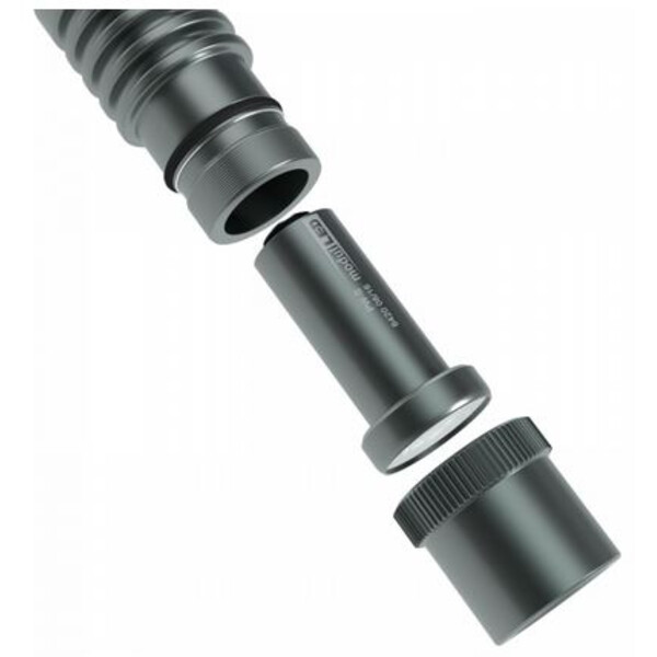 StarLight Opto-Electronics IL100-24V, con spina M12 (4 poli)