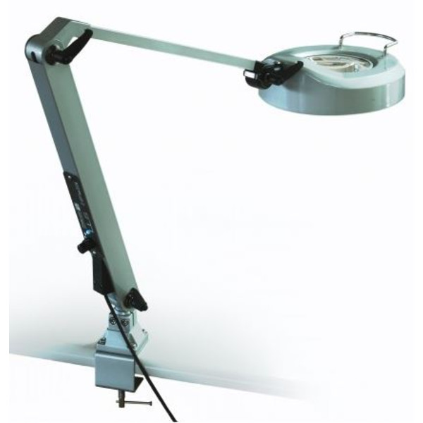 StarLight Opto-Electronics Lente d`Ingrandimento LL6-NW-UV400, 3 × bianco naturale (4.000 K), 3 × UV (400 nm)